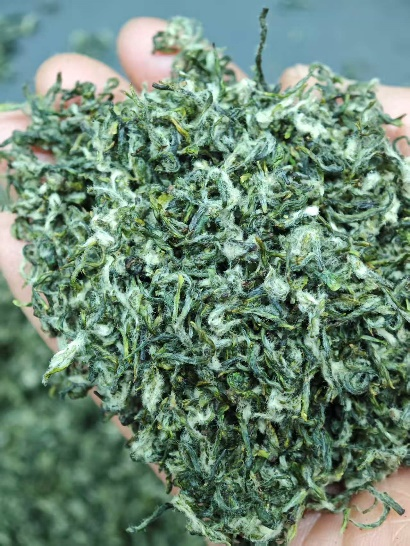盐城茶
